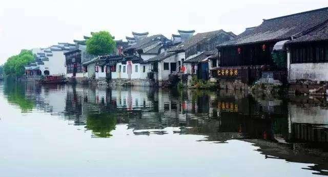 春雨直播app